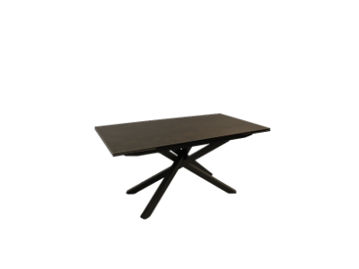 ELIXIR - Table de séjour ELIXIR 2 allonges de 40 cm  2