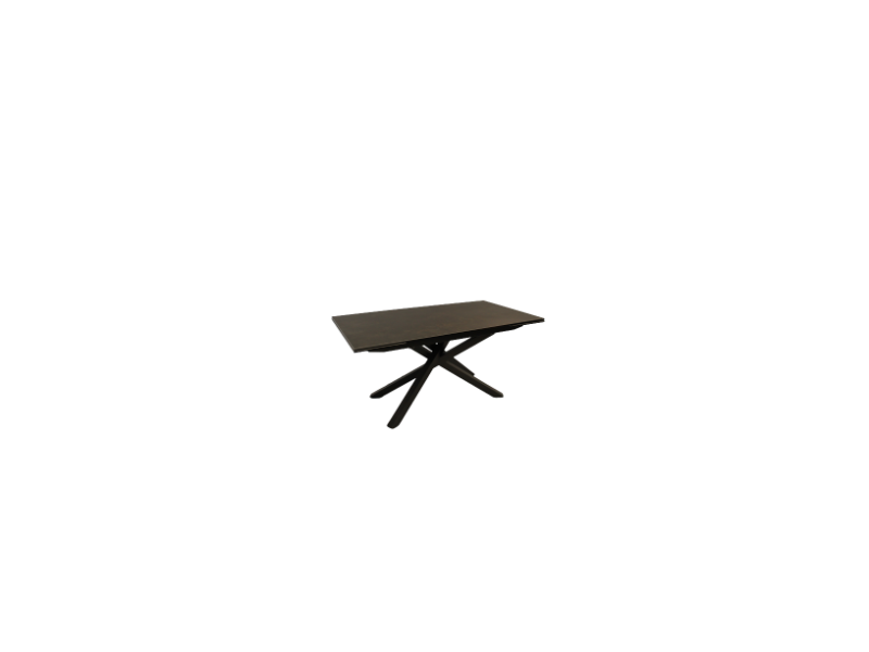 ELIXIR - Table de séjour ELIXIR 2 allonges de 40 cm 