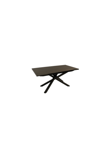 ELIXIR - Table de séjour ELIXIR 2 allonges de 40 cm 